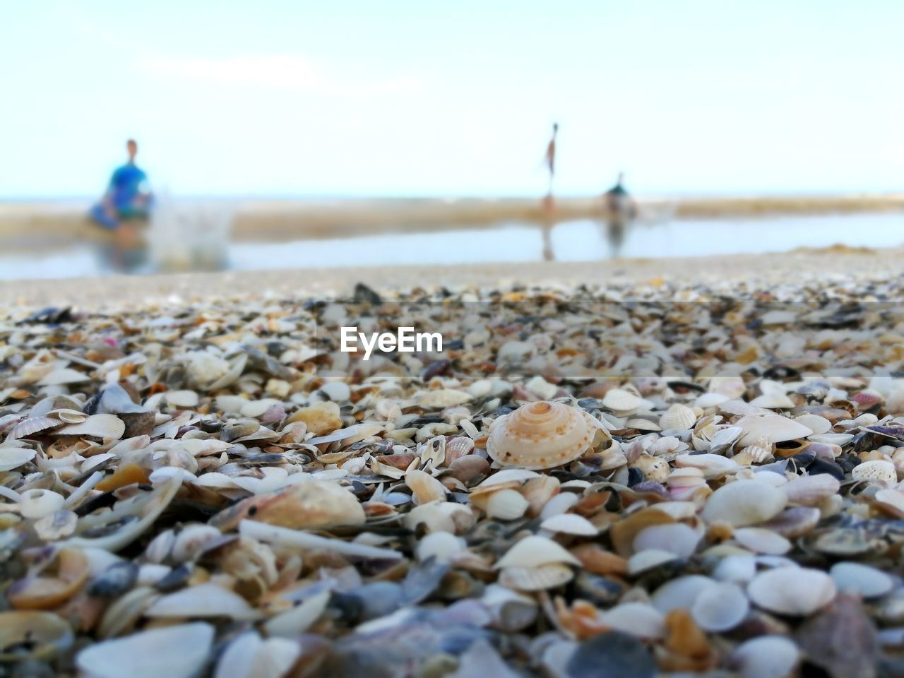 SURFACE LEVEL OF PEBBLES ON SHORE