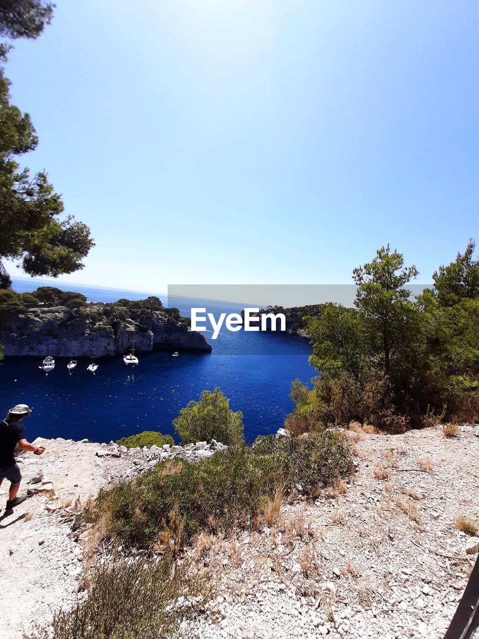 SCENIC VIEW OF BEACH AGAINST CLEAR SKY