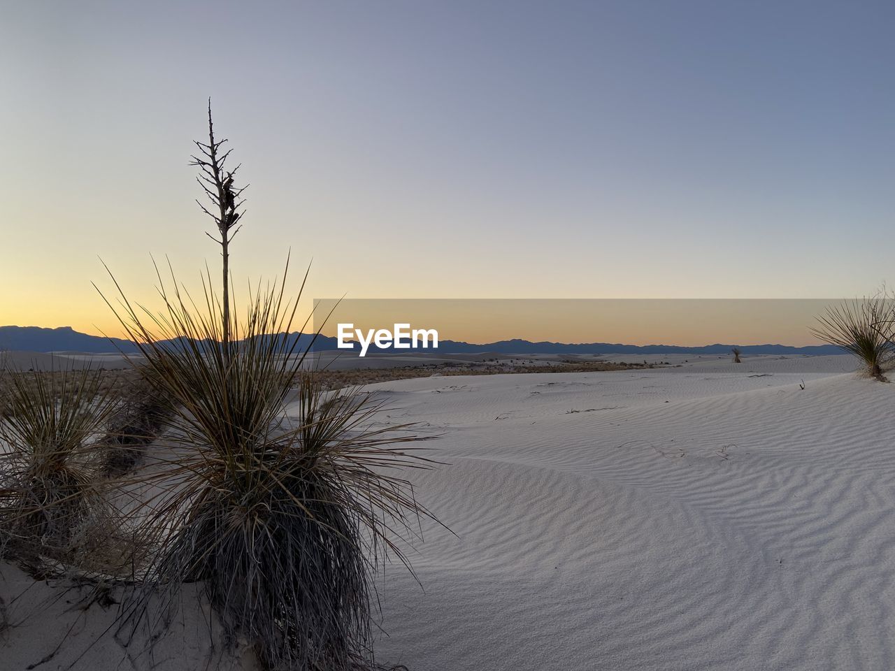 SCENIC VIEW OF SEA AGAINST CLEAR SKY DURING SUNSET