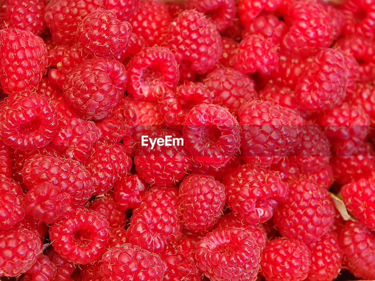 Background of ripe juicy raspberries