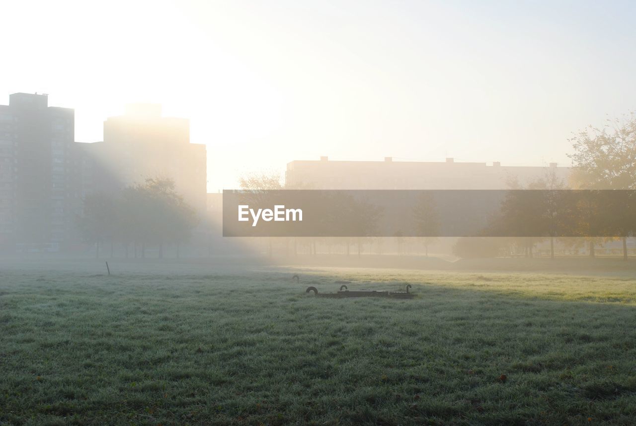 VIEW OF GRASSY FIELD