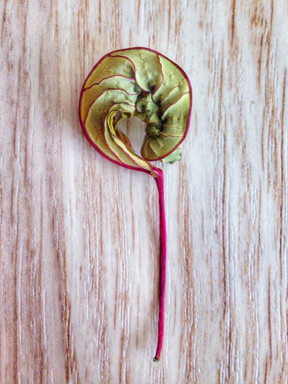 CLOSE-UP OF STRAWBERRY ON TABLE