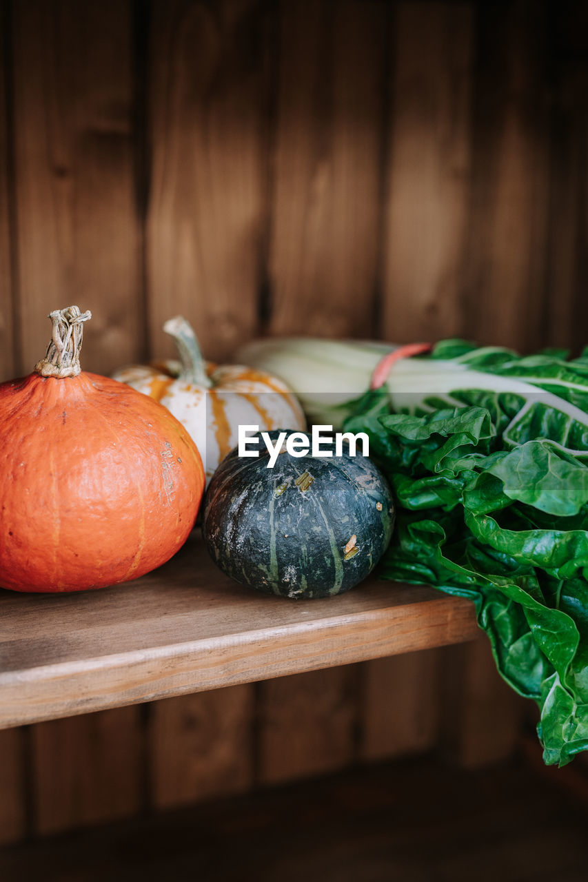 Various types of fresh pumpkins arranged near bunch of green chard leaves on wooden shelf