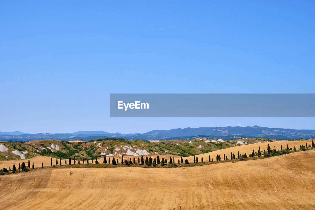 Hay bales on field against clear blue sky