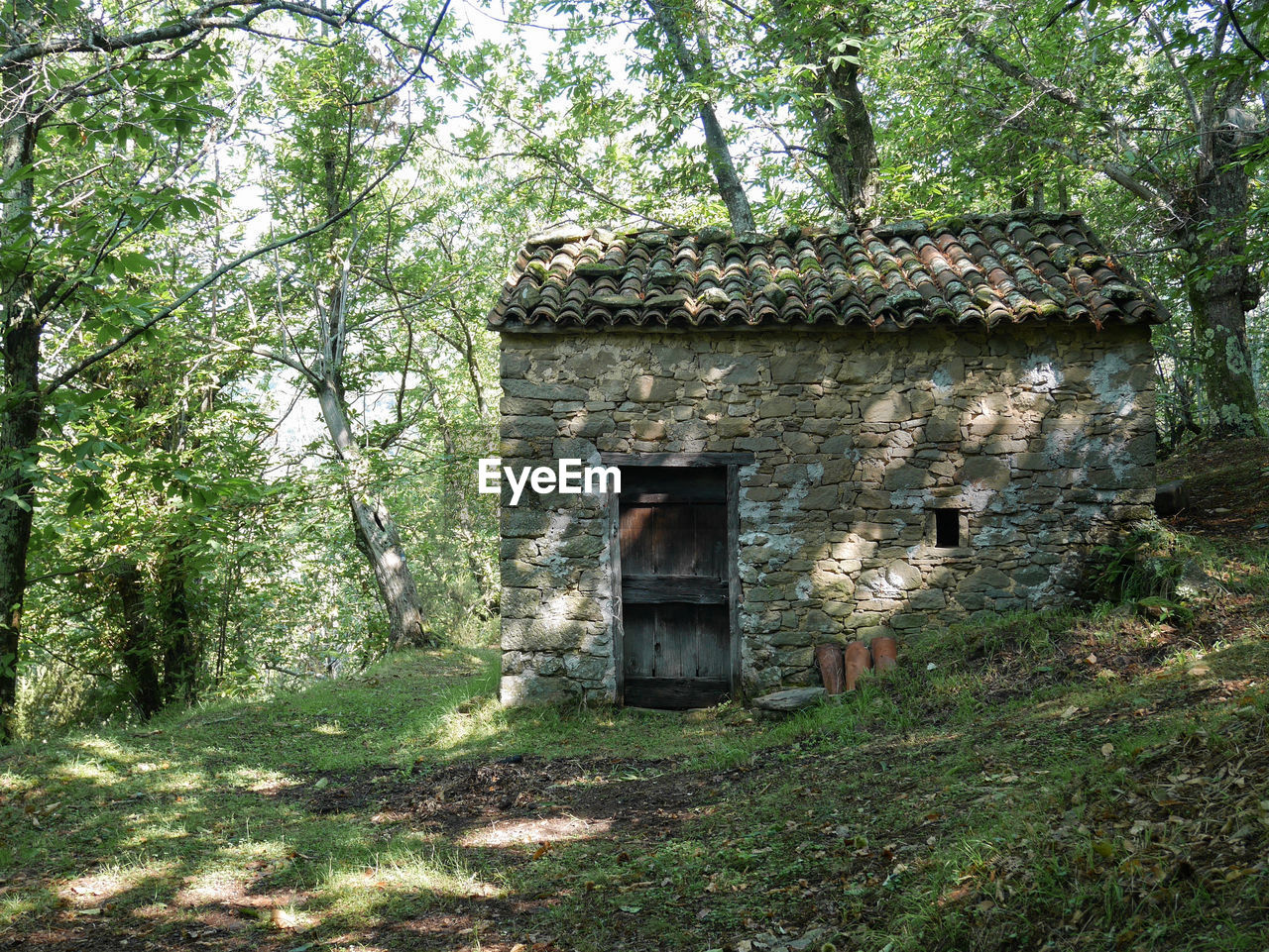 EXTERIOR OF ABANDONED HOUSE IN FOREST