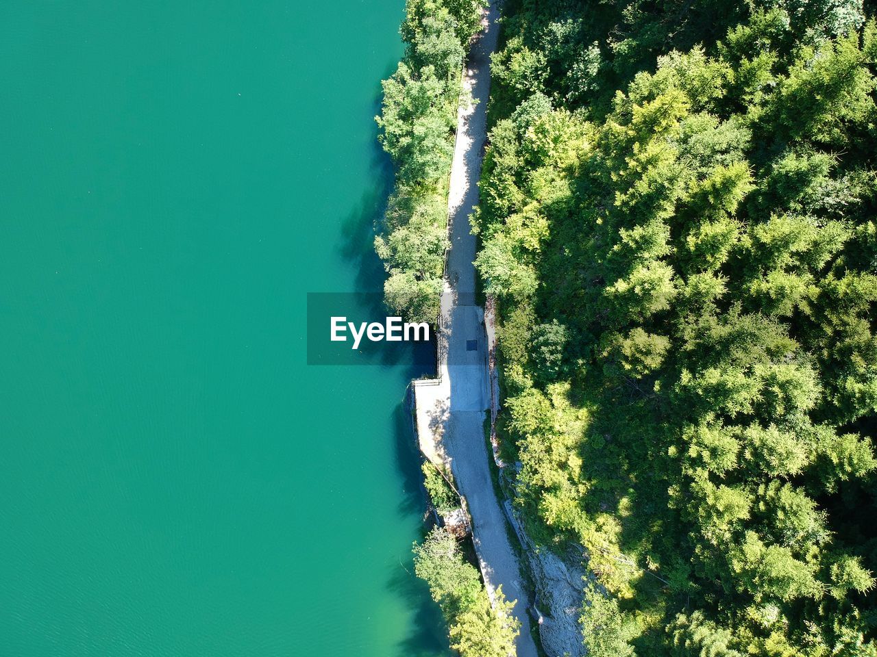 High angle view of trees by sea