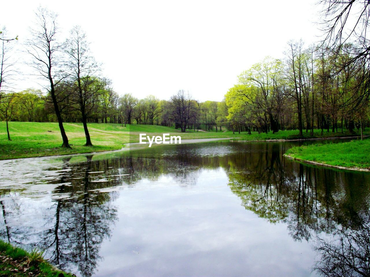 REFLECTION OF TREES IN LAKE