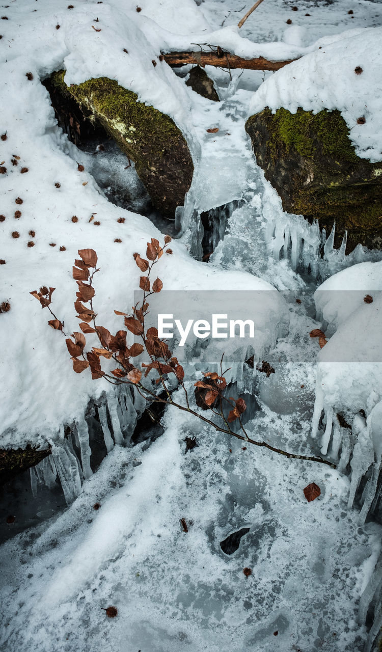 HIGH ANGLE VIEW OF SNOW COVERED LAND AND TREES