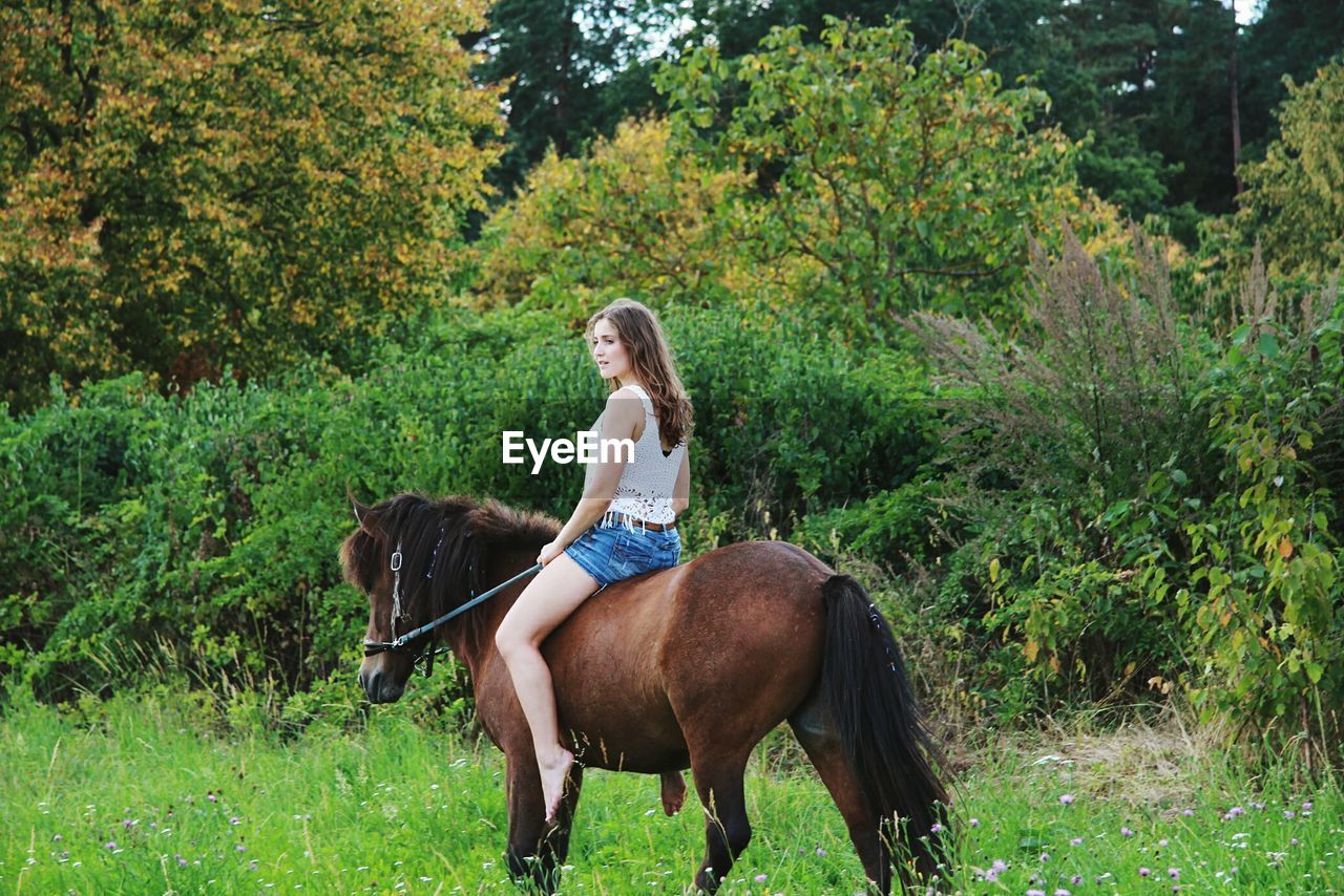 Beautiful smiling young woman riding brown horse on grassy field