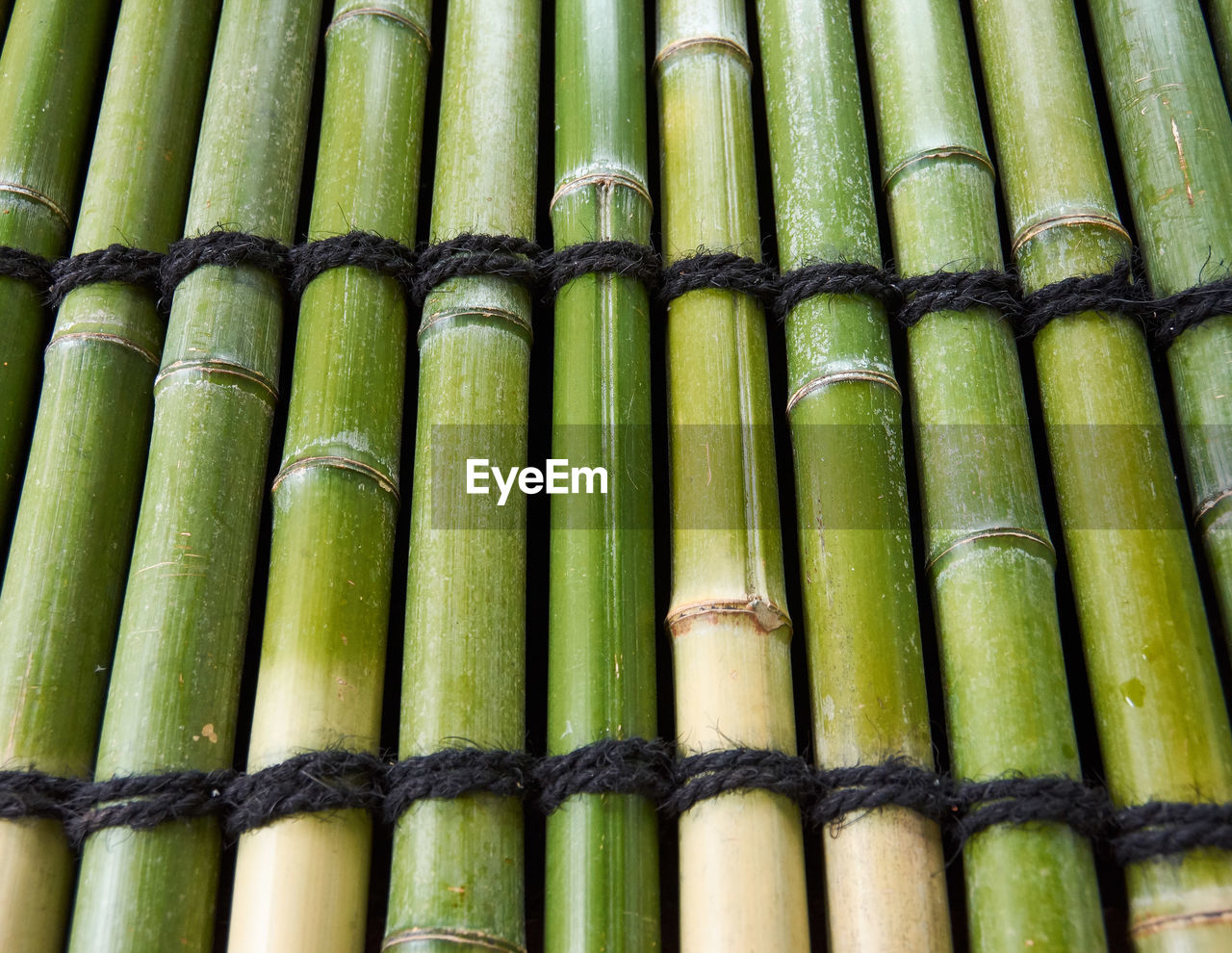 Full frame shot of bamboo