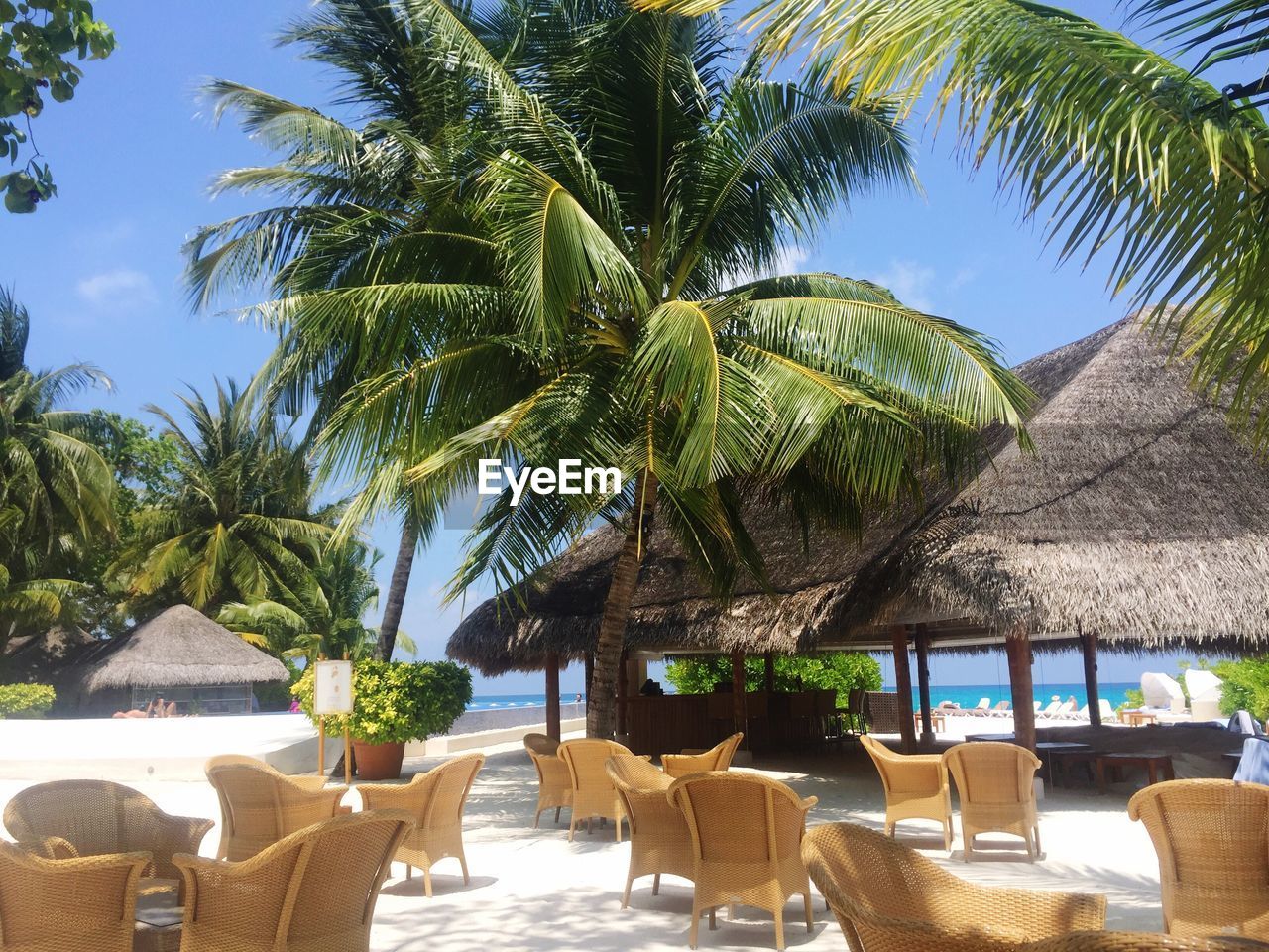 PALM TREE BY SWIMMING POOL AGAINST SKY