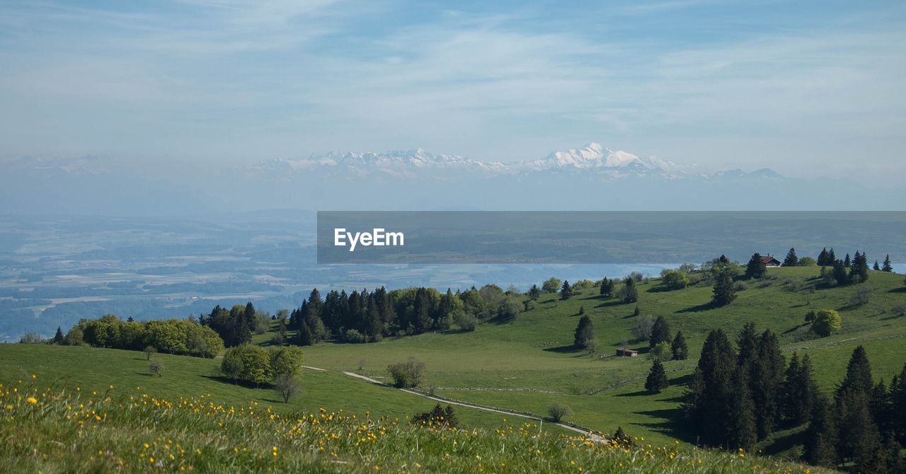 Panoramic view of agricultural field against sky