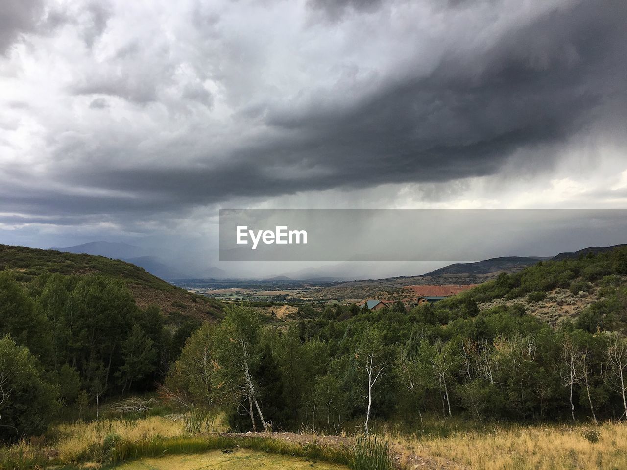 SCENIC VIEW OF TREES ON LANDSCAPE AGAINST SKY