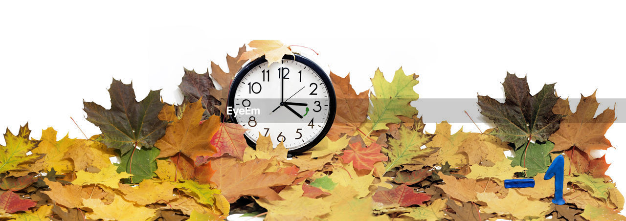 -1  0clockwinter 1h 2017 3 3h Abstract Arrow Autumn Back Backward Change Clock Clockface Concept Counterclockwise Day Daylight Fall Forward Goes Hours Humor Idea Isolated Leaves Local Maple Move October Office Orange Rotate Saving Seconds Sleep Standard Summer Summertime Symbol