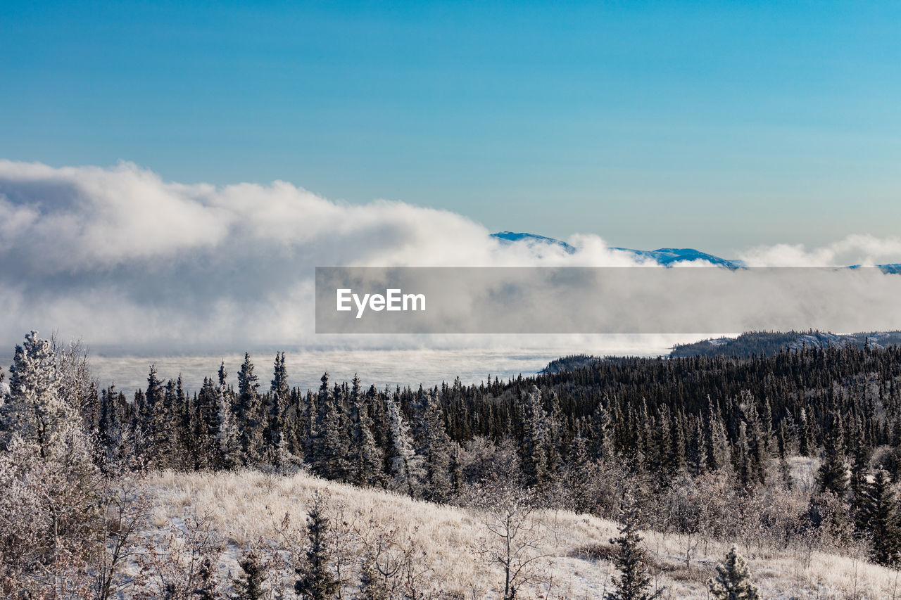 PANORAMIC VIEW OF SNOW COVERED LAND AGAINST SKY