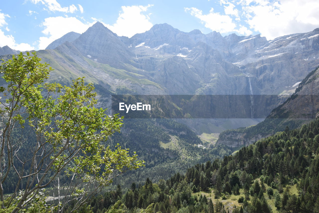 SCENIC VIEW OF MOUNTAINS AND TREES