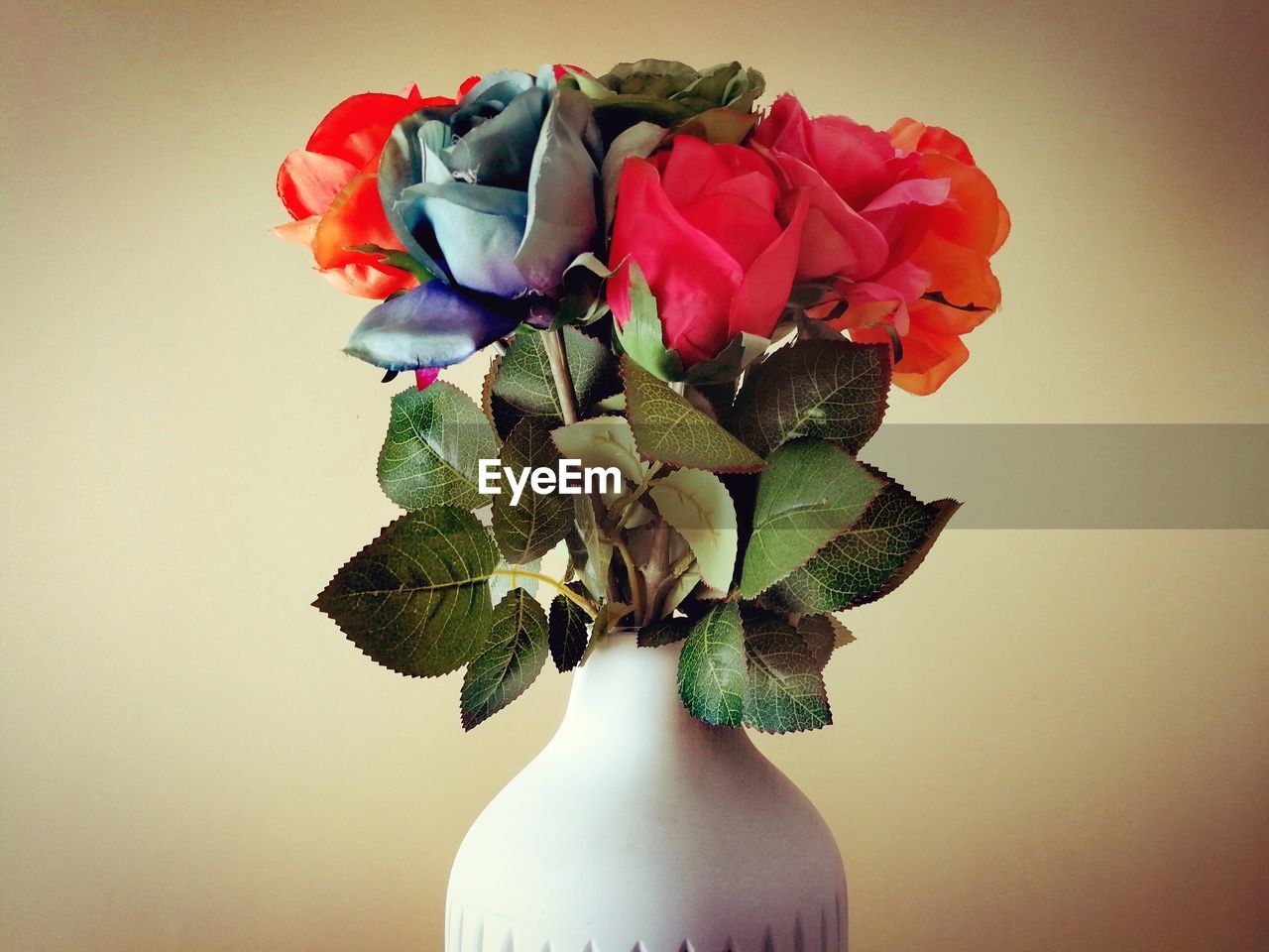 CLOSE-UP OF ROSES IN VASE AGAINST GRAY BACKGROUND