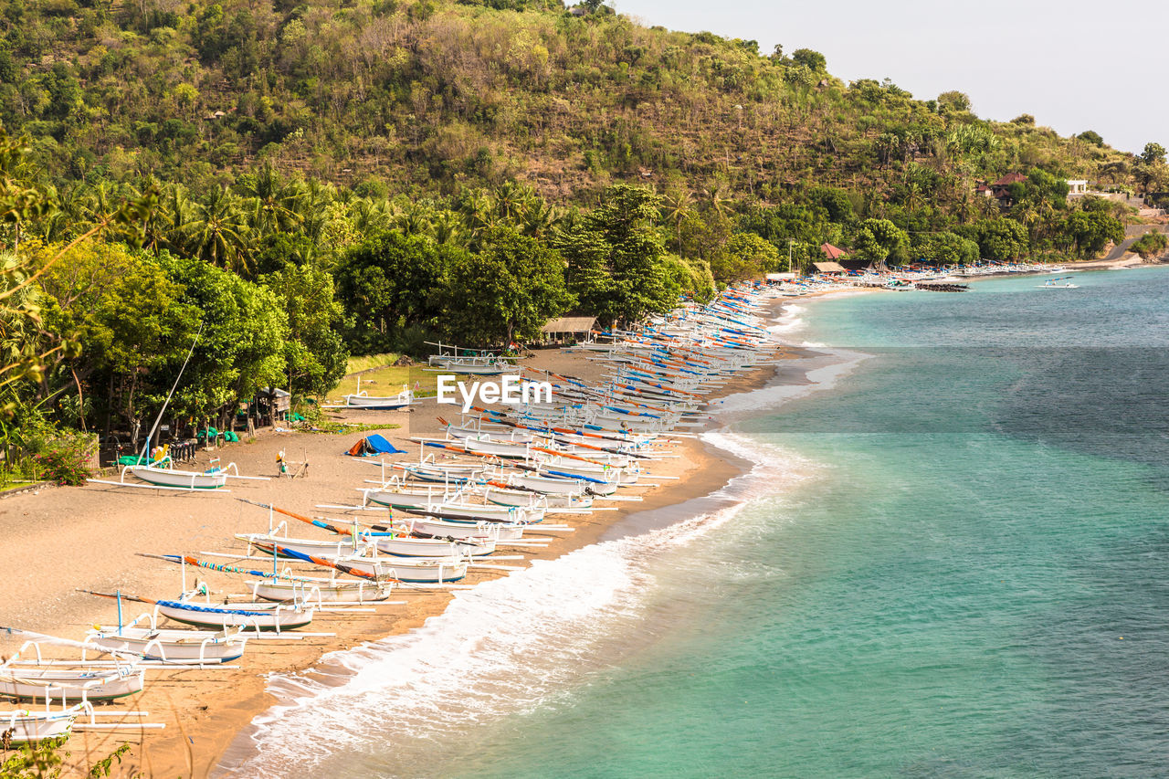 VIEW OF BEACH WITH TREES IN BACKGROUND