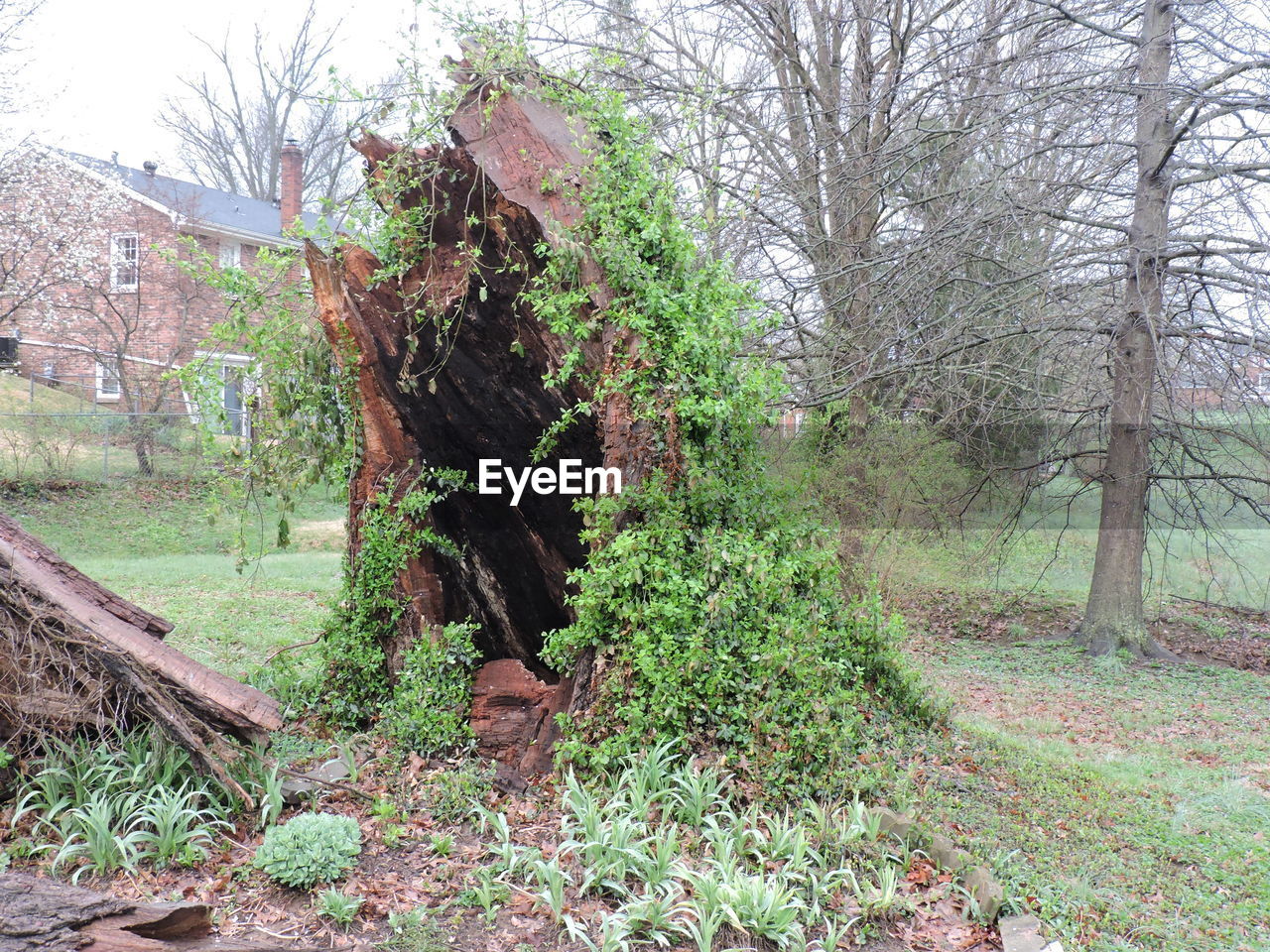 OLD BUILT STRUCTURE ON FIELD