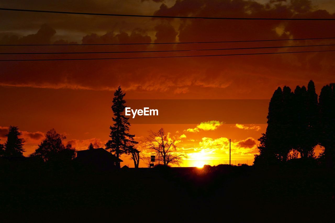 Silhouette trees on field against orange sky