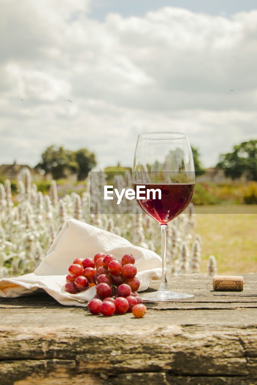 Red grapes with wineglass on table at field