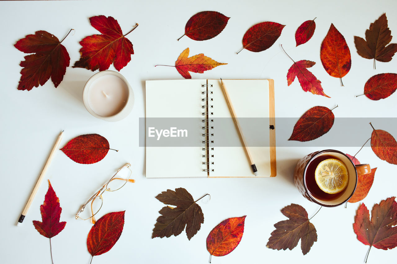 HIGH ANGLE VIEW OF RED LEAVES ON TABLE AGAINST WALL