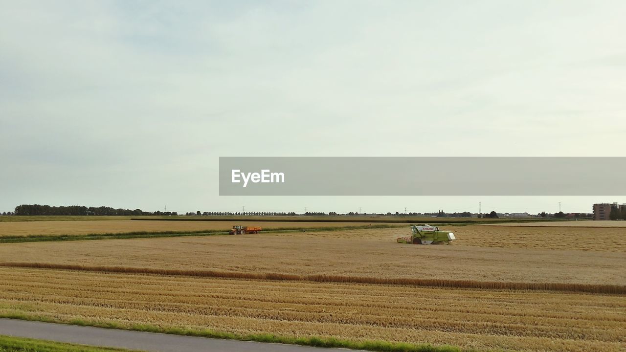 VIEW OF RURAL LANDSCAPE