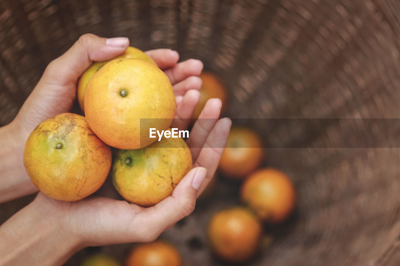 CROPPED IMAGE OF PERSON HOLDING ORANGE