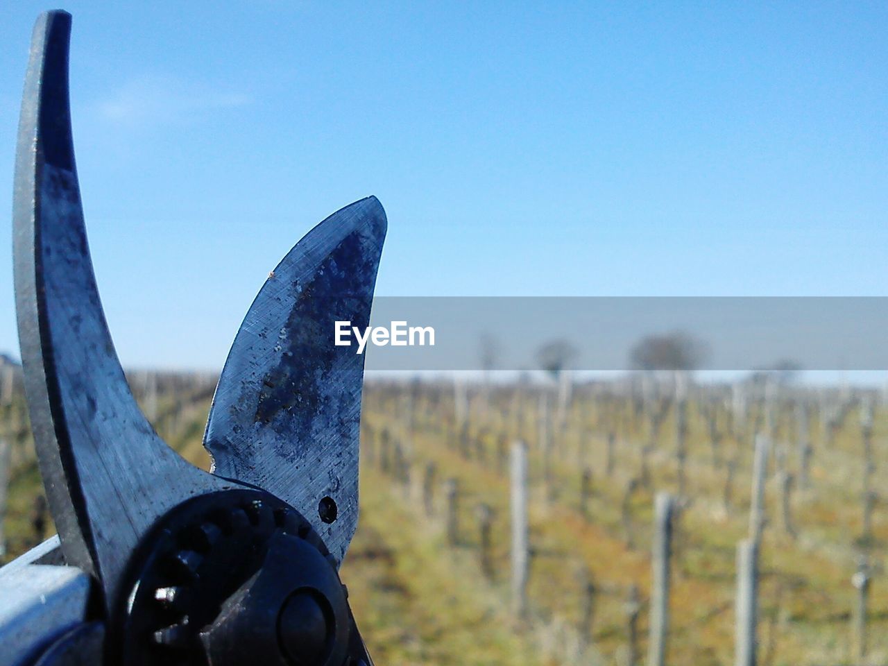 Close-up of cropped hand against clear blue sky