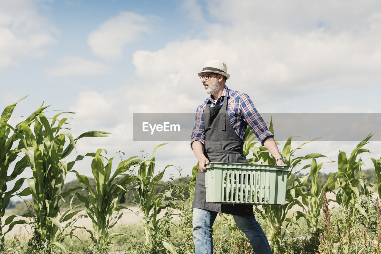 Low angle view of mature gardener carrying crate at farm against sky