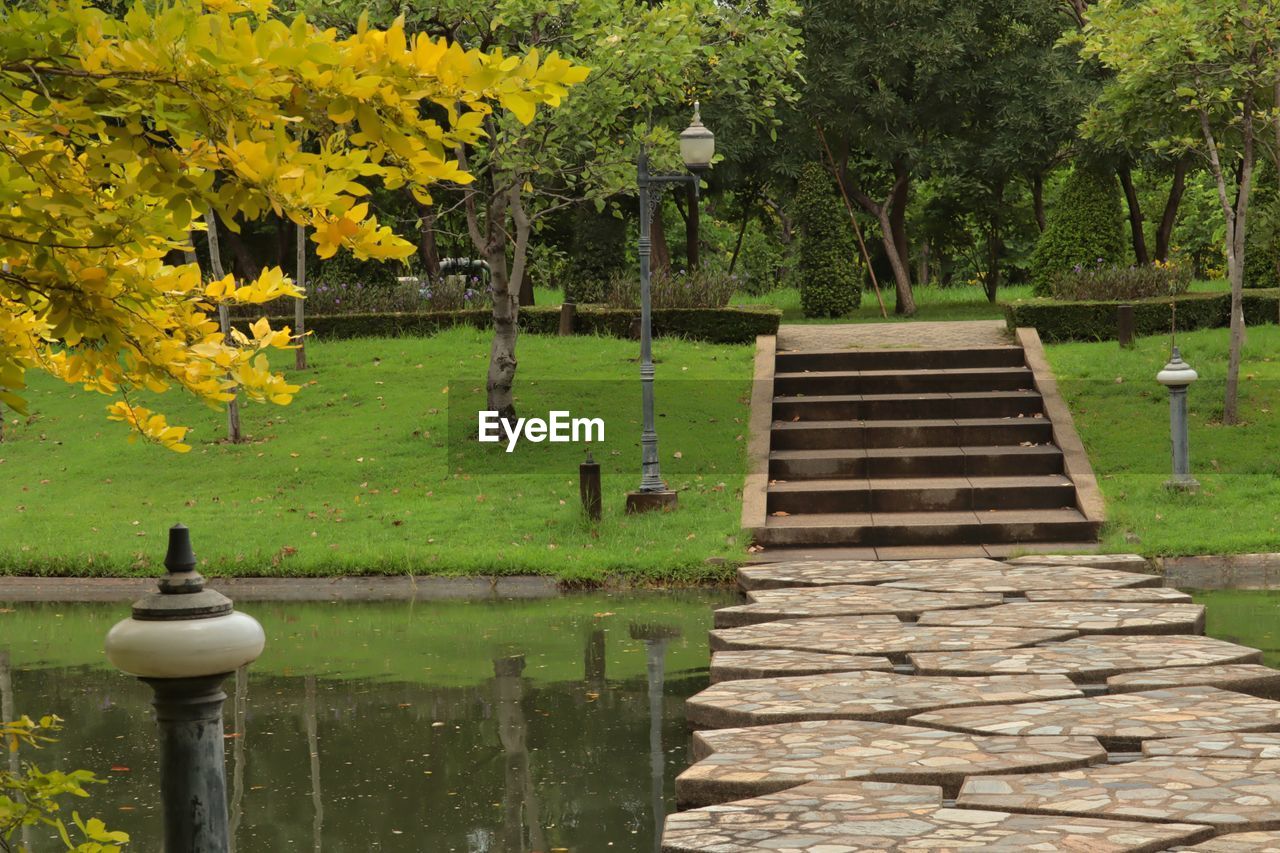 VIEW OF FLOWERING PLANTS BY LAKE IN PARK AT MORNING