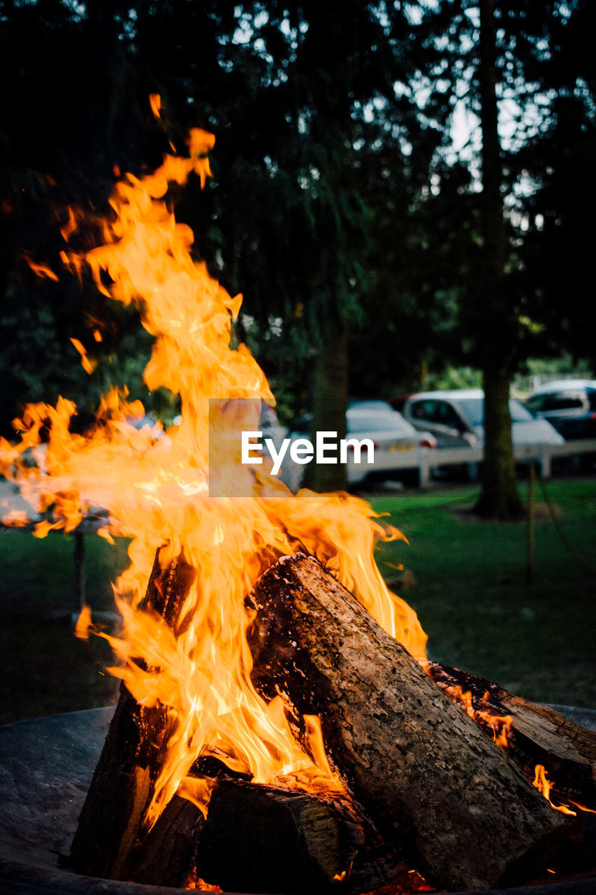 Close-up of bonfire in yard