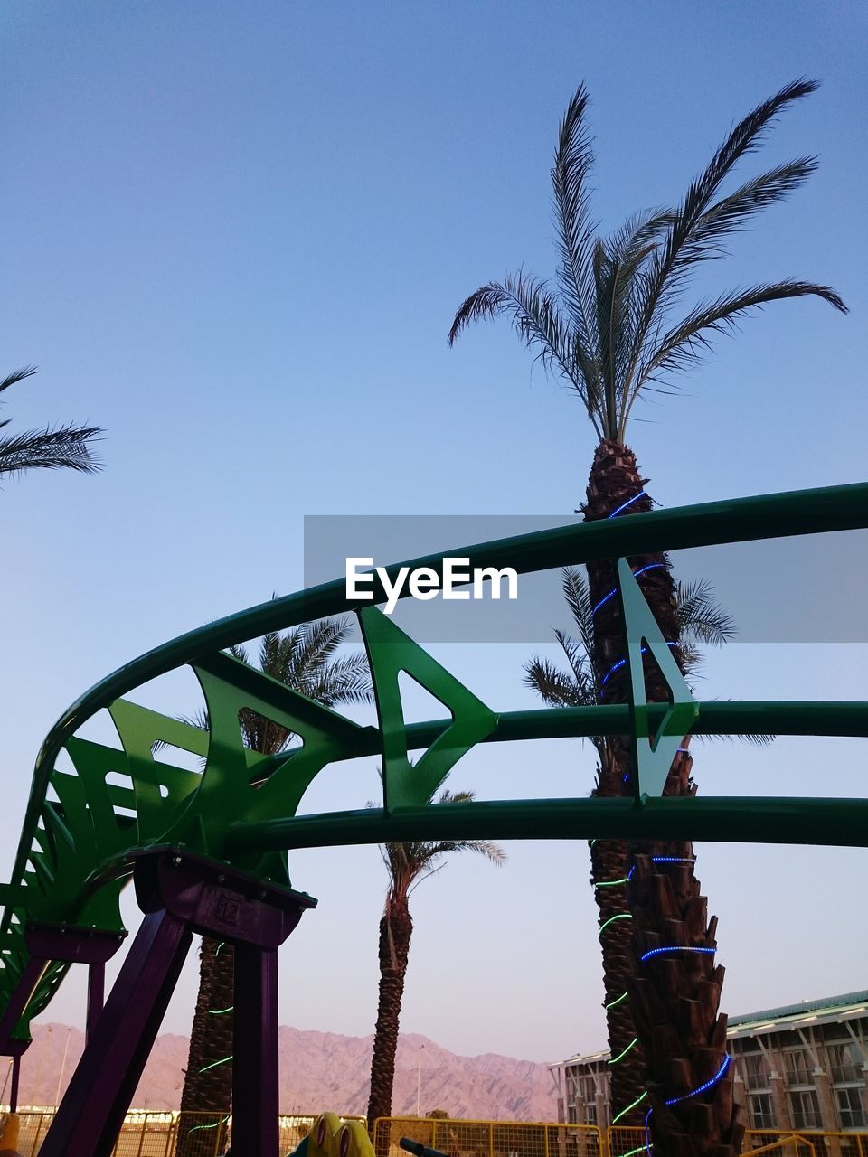 Low angle view of rollercoaster by palm tree against sky