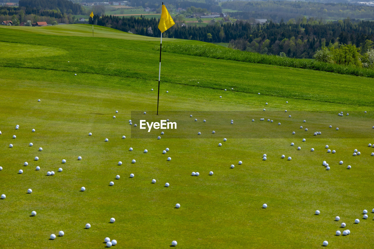 Golf green with flag stick and many golf balls in switzerland.