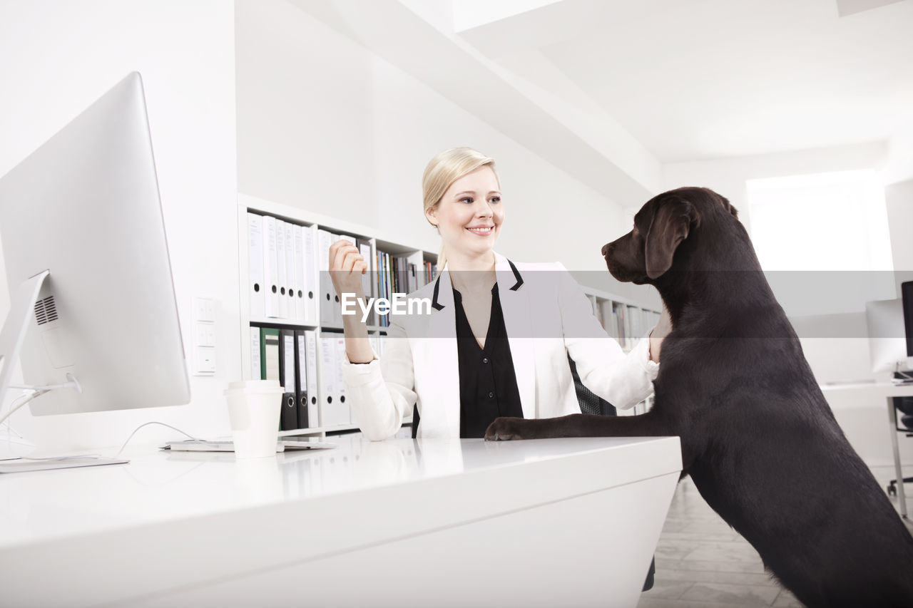 Business woman with her labrador retriever in the office