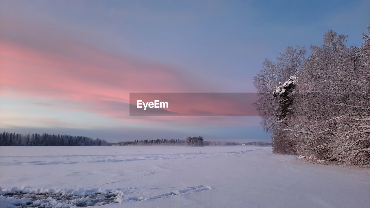 winter, snow, cold temperature, tree, sky, plant, beauty in nature, scenics - nature, landscape, environment, nature, tranquil scene, tranquility, freezing, cloud, frozen, frost, sunset, land, no people, ice, coniferous tree, non-urban scene, pine tree, pinaceae, forest, idyllic, rural scene, white, mountain, outdoors, blue, dawn, pine woodland, sunlight, woodland, water, remote, field