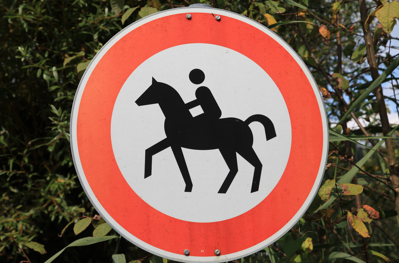 CLOSE-UP OF ARROW SIGN ON ROAD AGAINST TREES