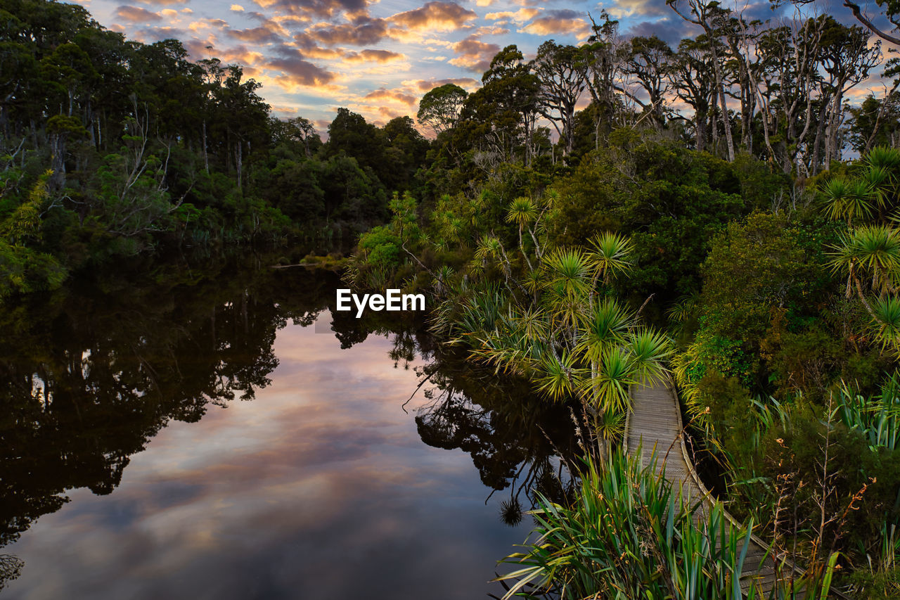 SCENIC VIEW OF LAKE BY TREES AGAINST SKY