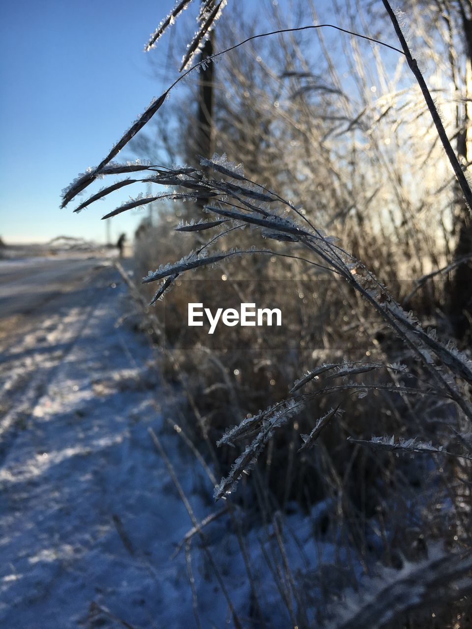 CLOSE-UP OF SNOW ON FIELD DURING WINTER