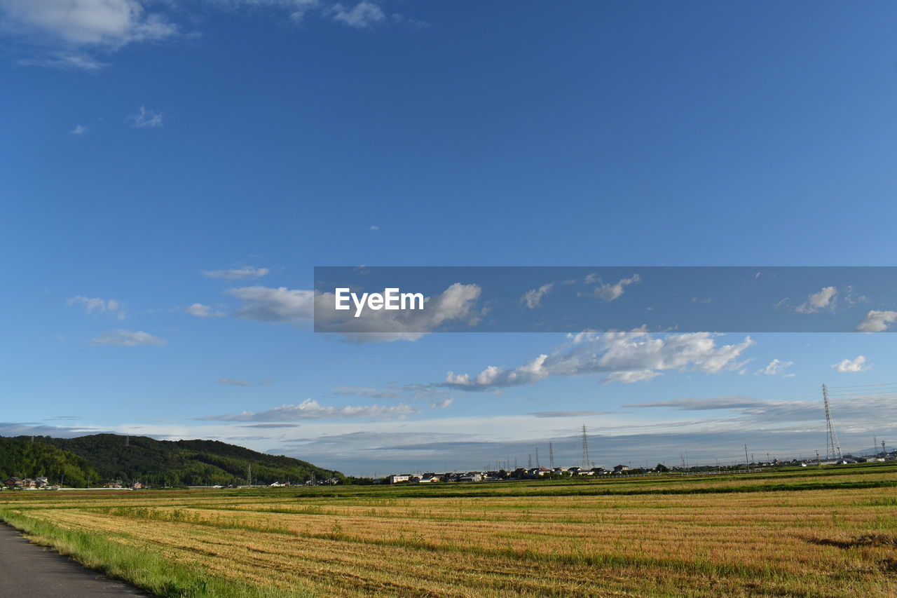 SCENIC VIEW OF FARM AGAINST SKY