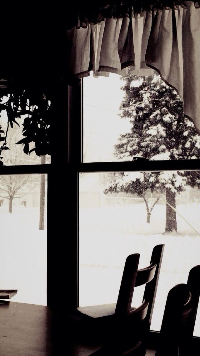 indoors, window, table, tree, chair, no people, day, close-up, nature