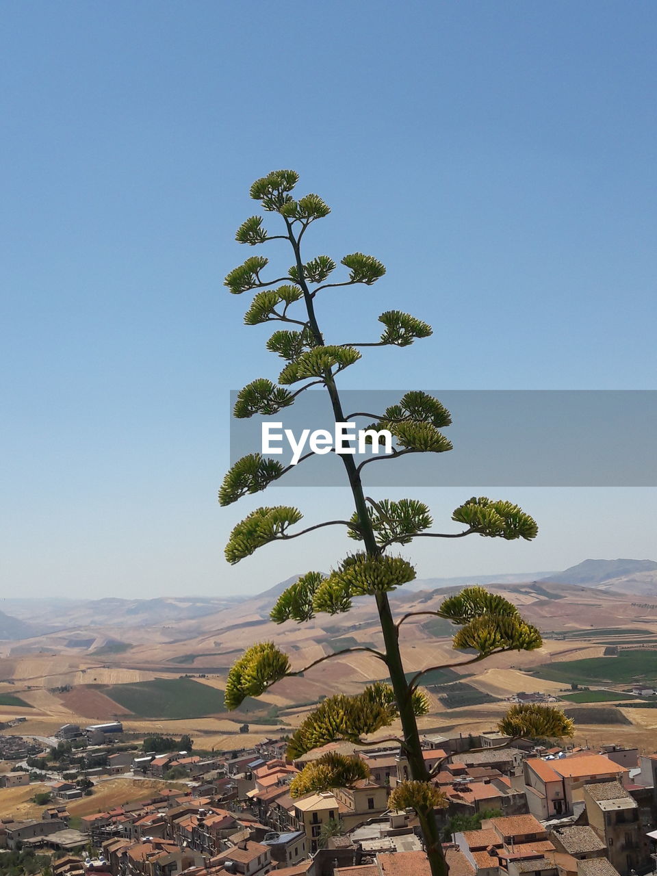 Scenic view of tree mountain against clear sky