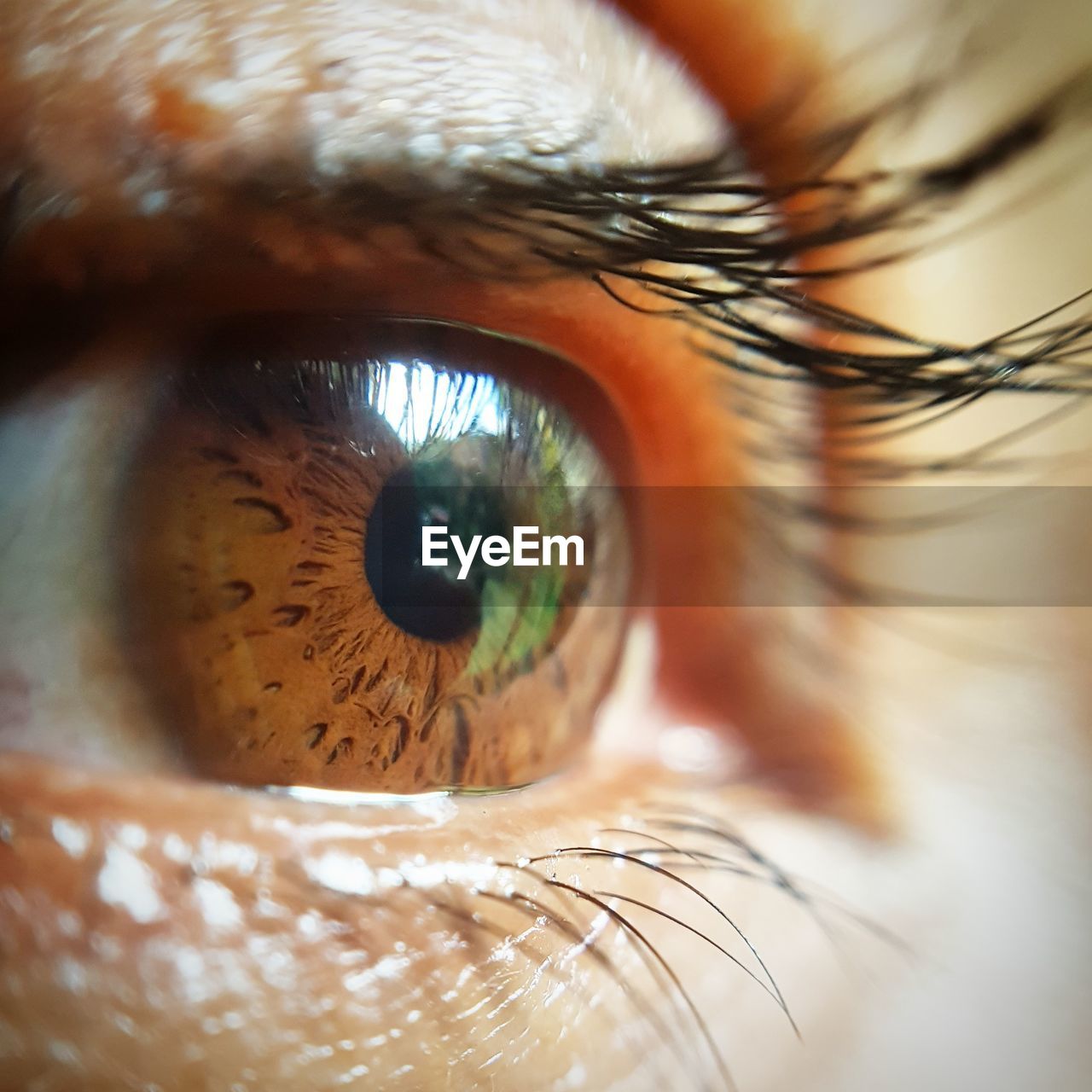 Cropped image of person eye