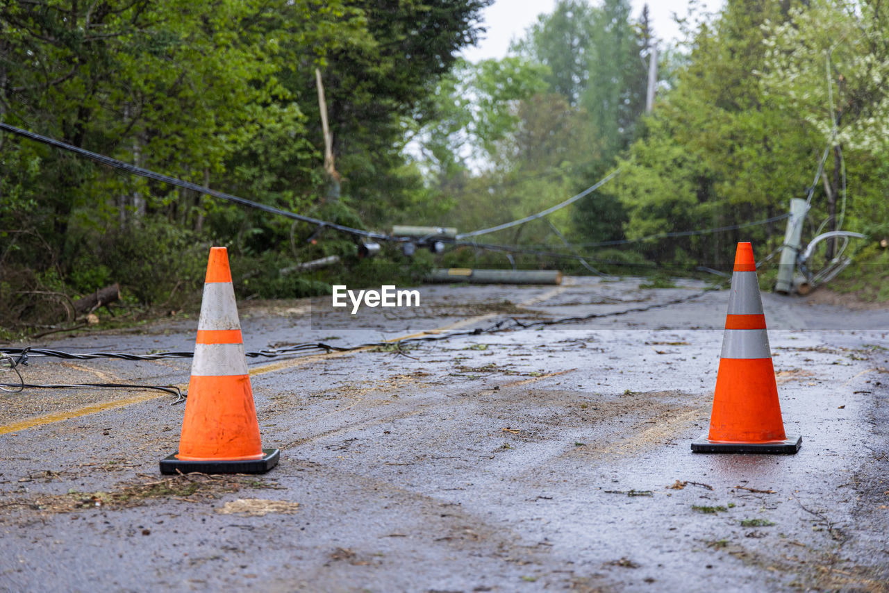 cone, traffic cone, orange color, protection, security, tree, plant, no people, sign, road, road construction, warning sign, nature, land, day, guidance, construction industry, transportation, communication, outdoors, red, accidents and disasters, forest