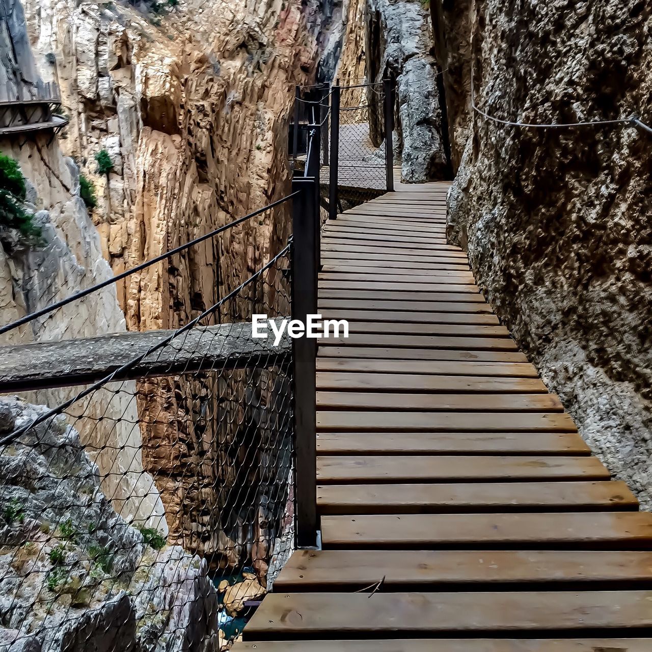 STEPS AMIDST TREES AND BRIDGE