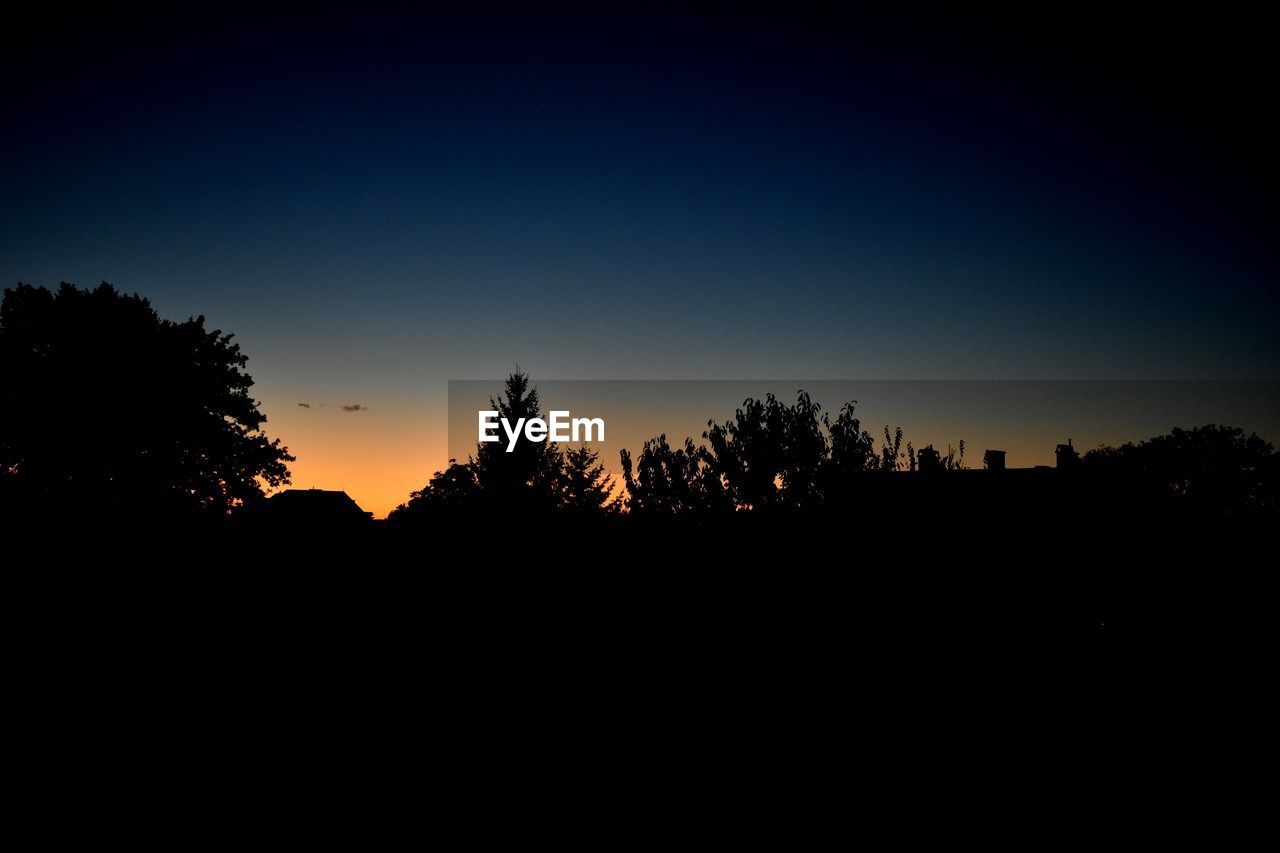 SILHOUETTE OF TREES AGAINST CLEAR SKY AT SUNSET