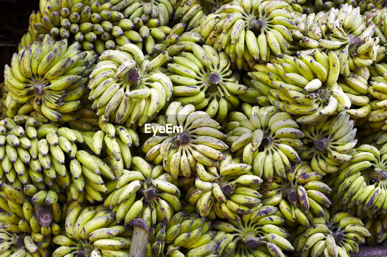 Many bananas are prepared for sale