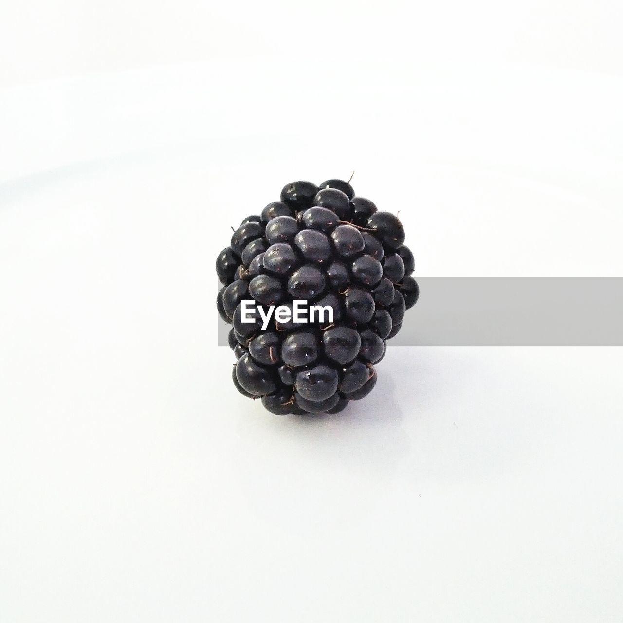 High angle view of blackberry against white background