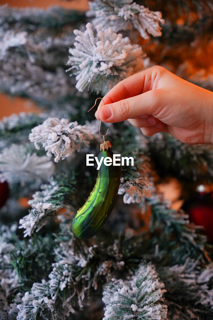 Cropped hand of woman holding christmas tree decoration pickle