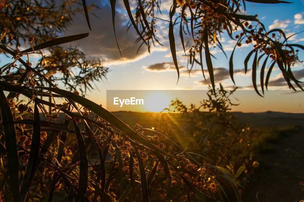 Scenic view of landscape against sky at sunset